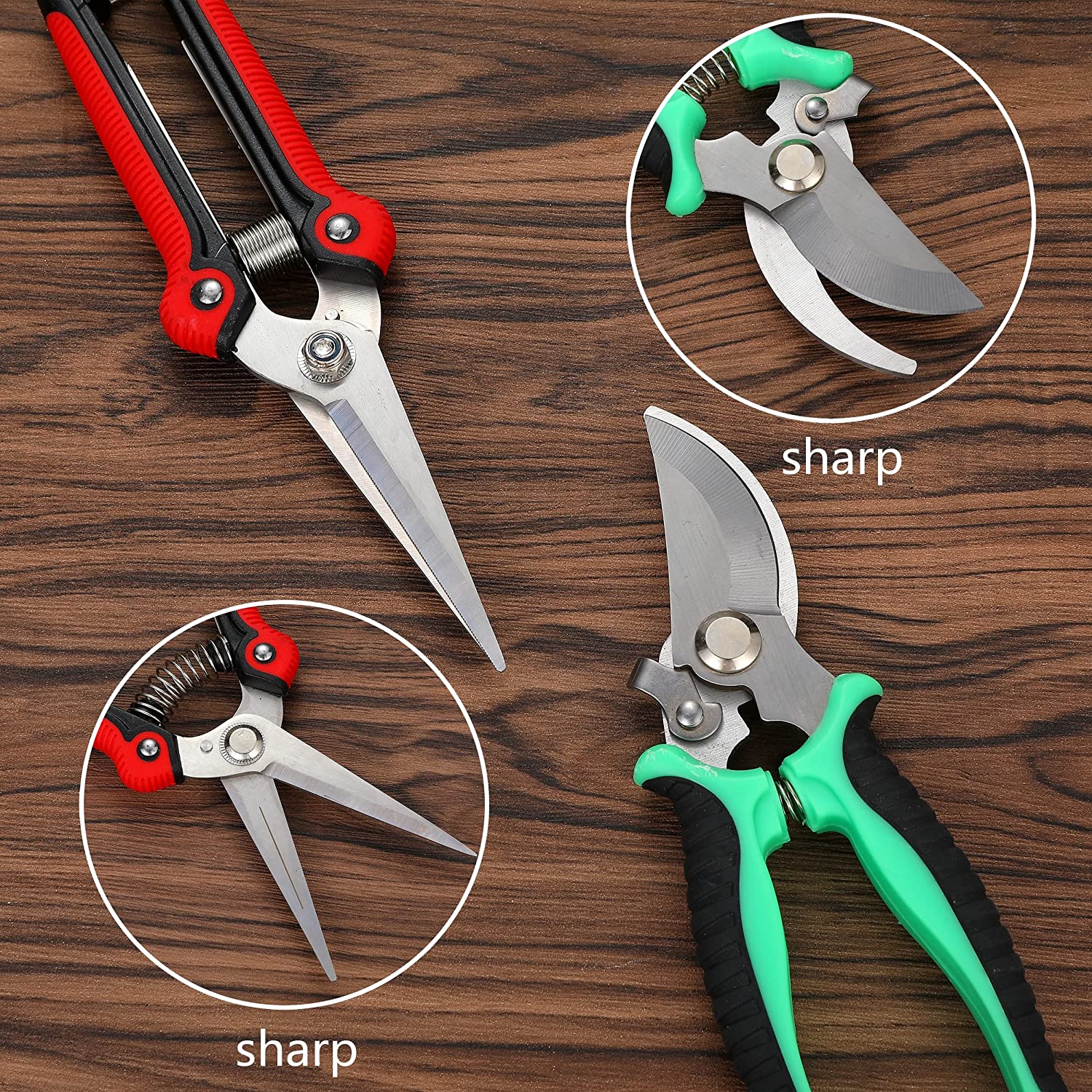 Shears-2.jpg