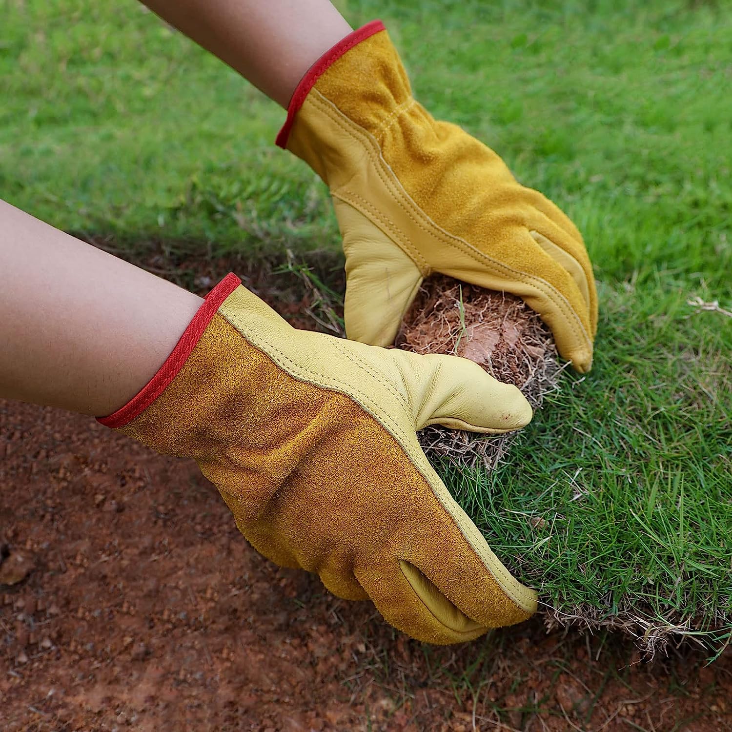 glove2.jpg